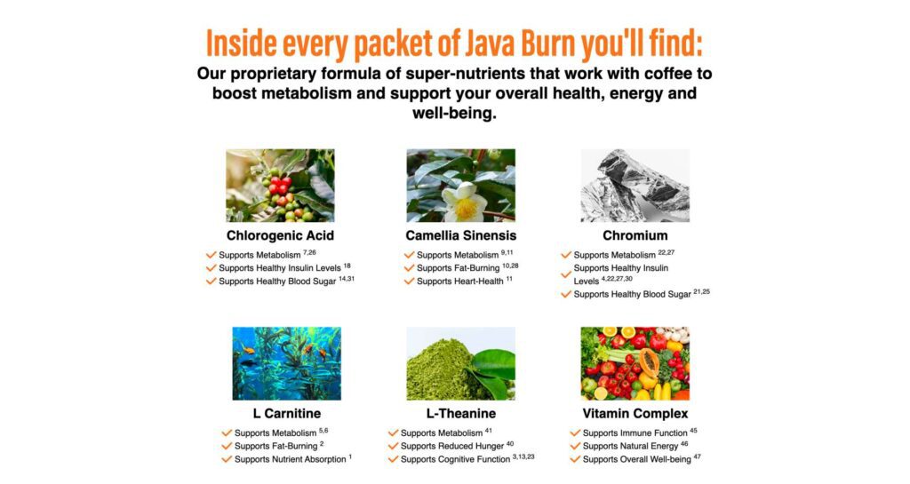 Java Burn Coffee Ingredients