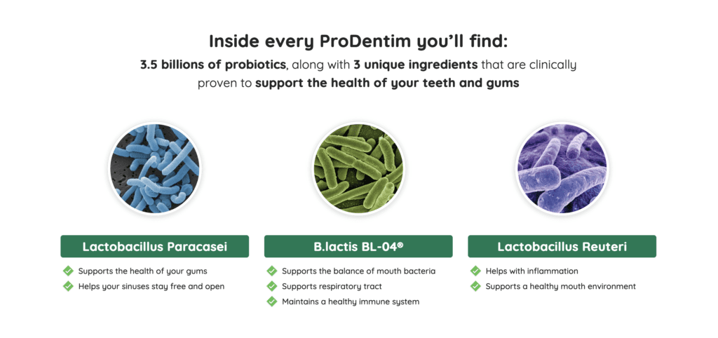 ProDentim Ingredients